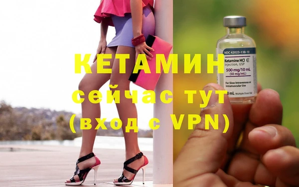 стафф Новозыбков