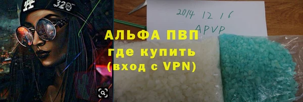 стафф Новозыбков