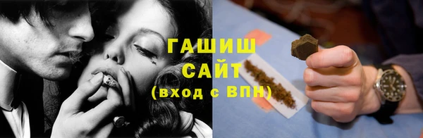 стафф Новозыбков