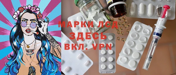 стафф Новозыбков