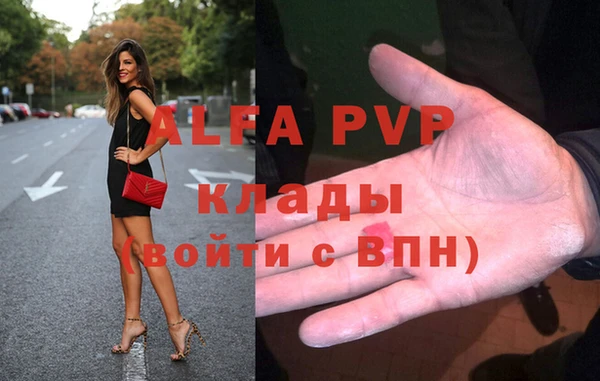 стафф Новозыбков