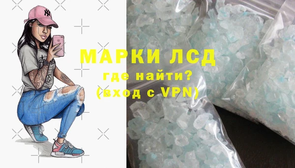 стафф Новозыбков